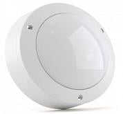   Circus Pro Mini 10 950 IP65  